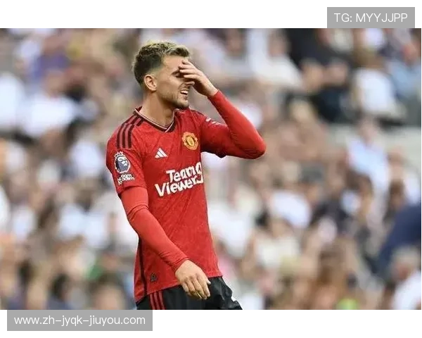 意甲球队夏季转会名单汇总与重点引援解读